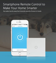 NEO NAS-SC01W Wireless WiFi EU Smart Light Control Switch 1Gang