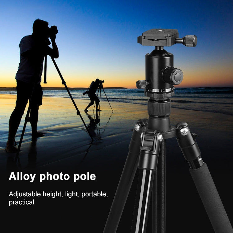 TRIOPO Oubao TA300 Adjustable Portable Aluminum Alloy Tripod with Ball Head for SLR Camera