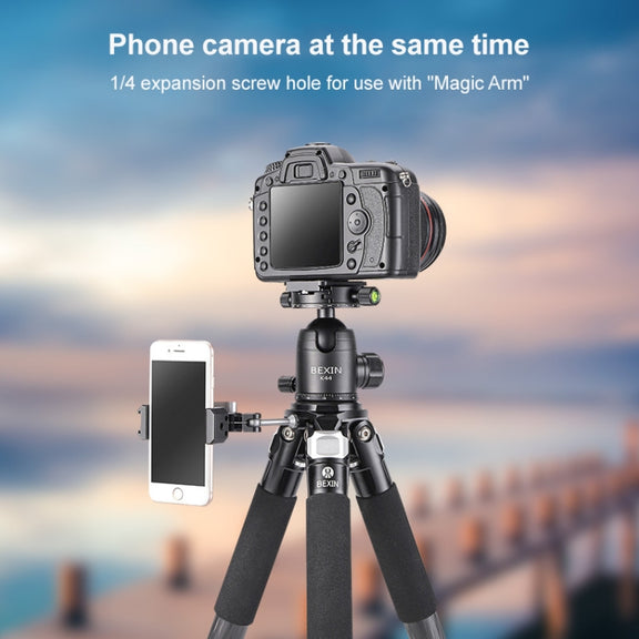 BEXIN RC334 Portable Collapsible Carbon Fiber Camera Tripod with K44 Panoramic BallHead