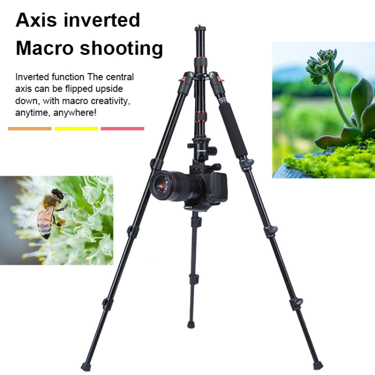 TRIOPO Oubao A-208S Adjustable Portable  Aluminum Alloy Tripod with Ball Head for SLR Camera