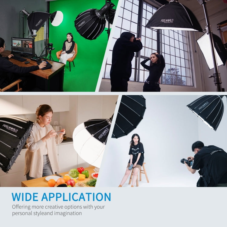 FEELWORLD FL125D 125W Daylight Point Source Video Light, Bluetooth APP Control(UK Plug)