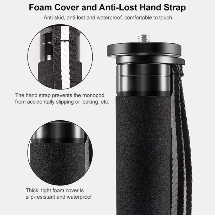 BEXIN P336C Camera Carbon Fiber Monopod Travel Live Selfie Bracket Holder