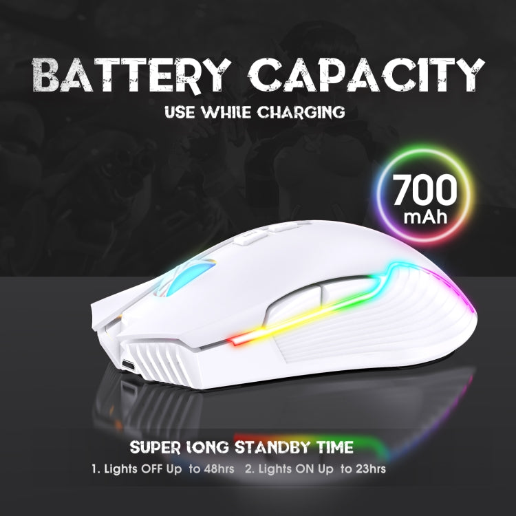 ONIKUMA CW905 2.4G RGB Lighting Wireless Mouse (Grey White)