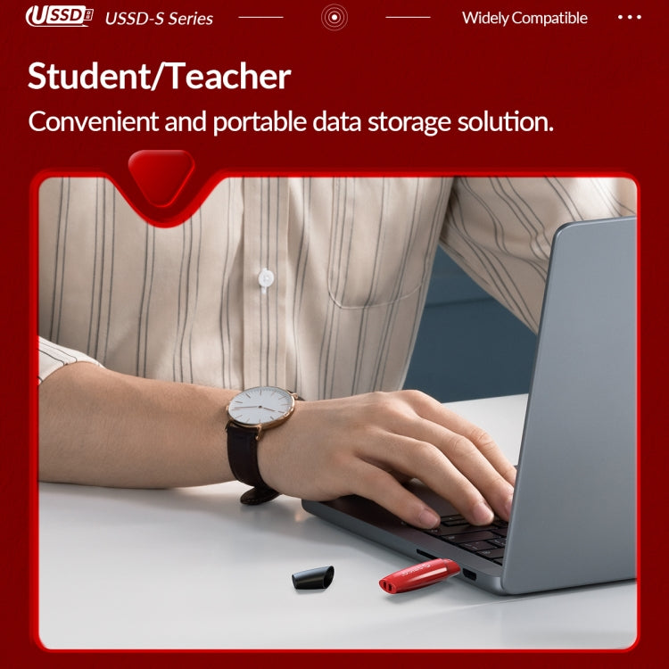 ORICO USB Solid State Flash Drive, Read: 520MB/s, Write: 450MB/s, Memory:256GB, Port:USB-A(Red)