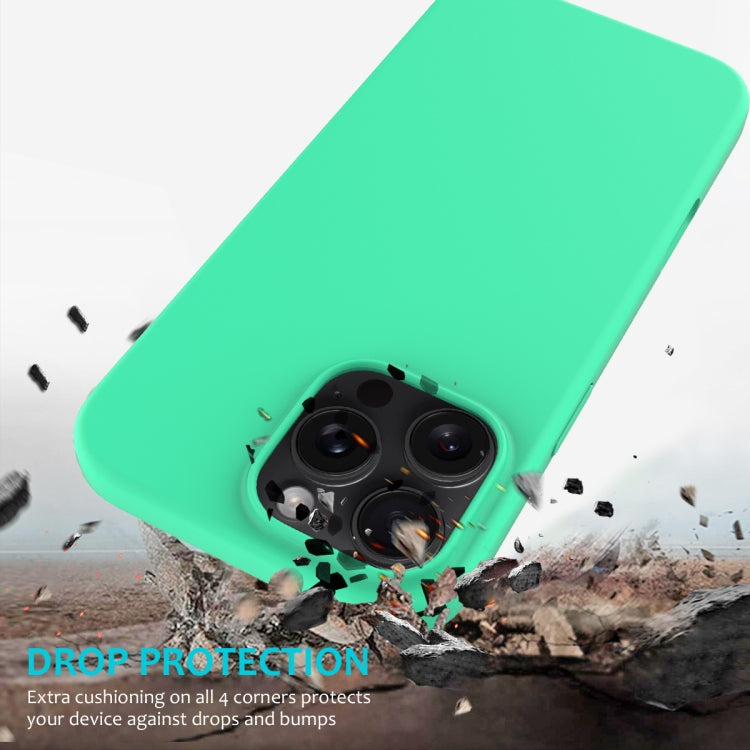 For iPhone 16 Pro Max Solid Color Silicone Phone Case(Green)