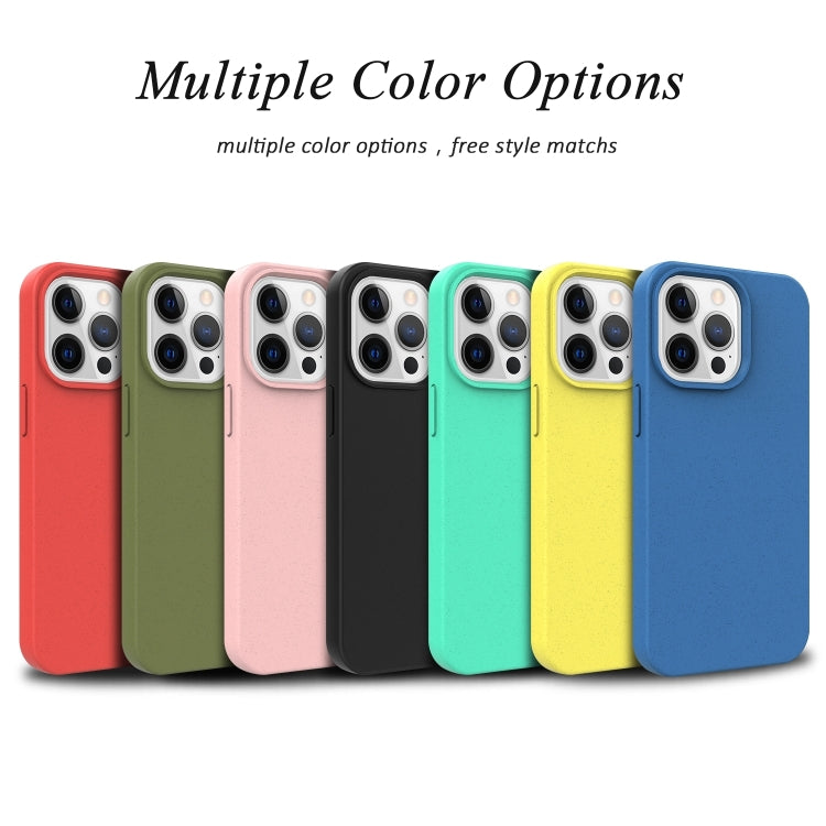 For iPhone 16 Pro Max Starry Series Shockproof Straw Material + TPU Protective Case(Red)