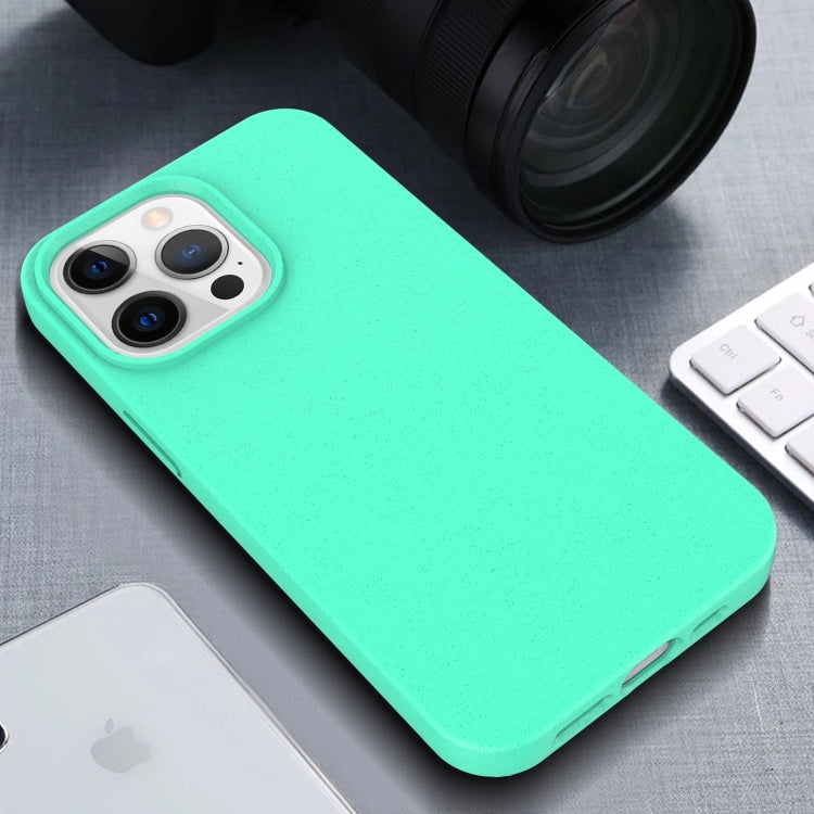 For iPhone 16 Pro Starry Series Shockproof Straw Material + TPU Protective Case(Army Green)