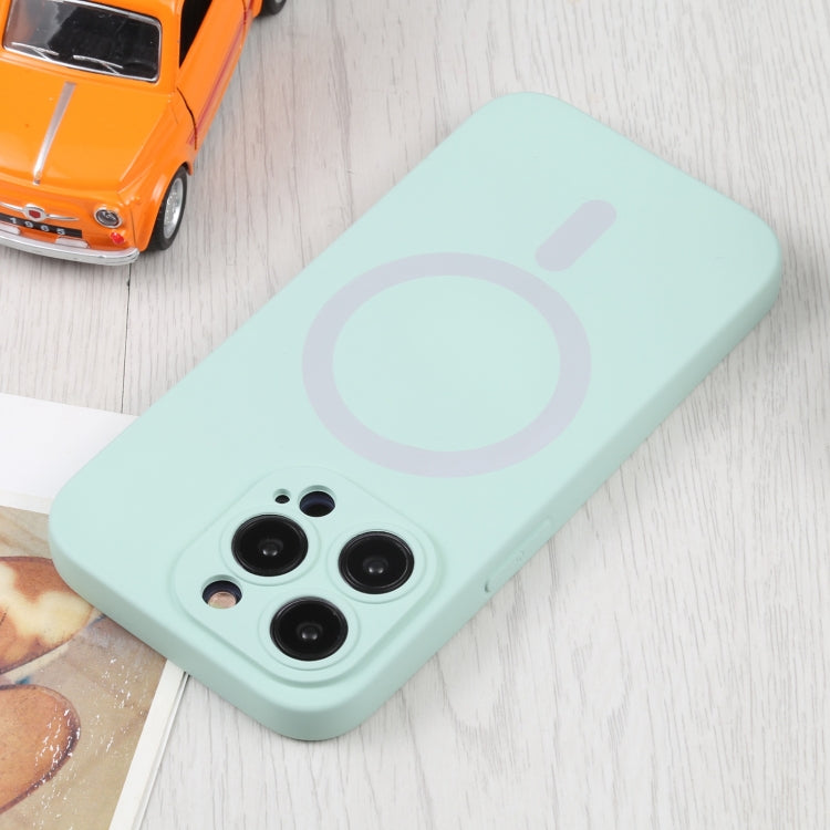 For iPhone 15 Pro Liquid Silicone Magsafe Phone Case(Light Cyan)
