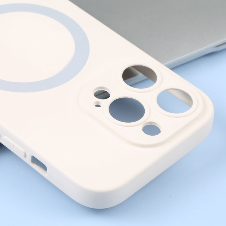 For iPhone 16 Liquid Silicone Magsafe Phone Case(White)