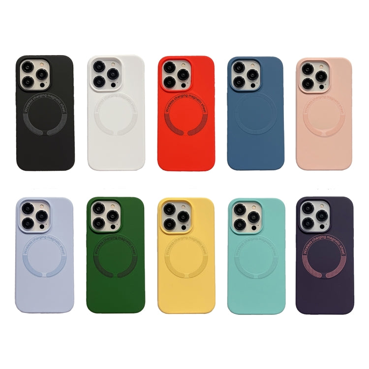 For iPhone 15 Pro Max Magsafe Magnetic Silicone Phone Case(Black)