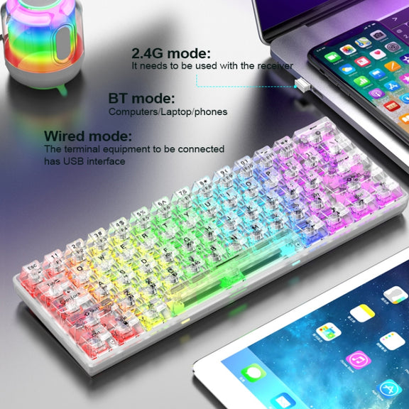 XUNFOX K30 Pro 2.4G + BT + Wired Transparent 61-Keys Mechanical White Axis Keyboard(White)