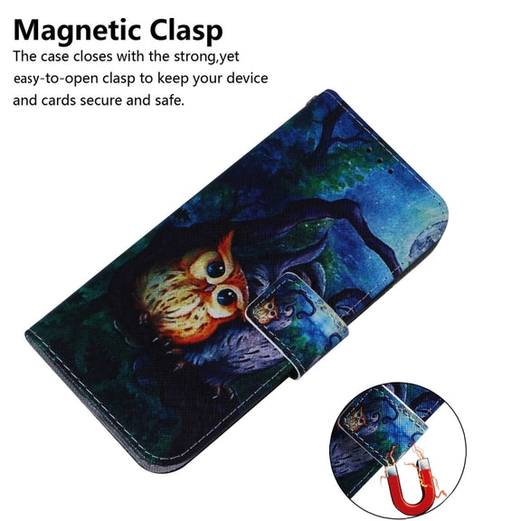 For Honor Magic6 Pro Coloured Drawing Flip Leather Phone Case(Oil Painting Owl)