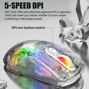 XUNFOX XYH20RGB 2.4G + BT + Wired Transparent 2400DPI RGB Light Gaming Mouse(Black)