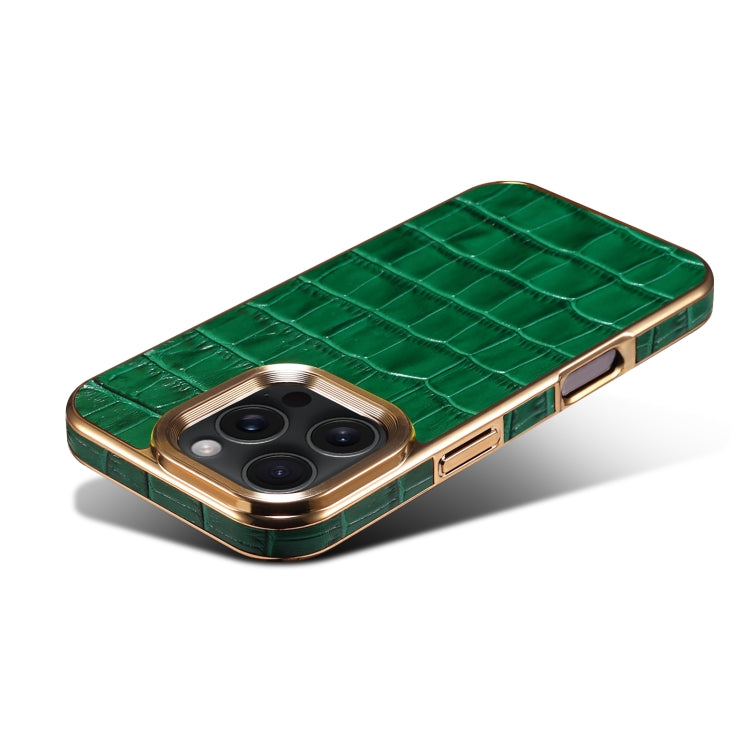 For iPhone 16 Pro Denior Crocodile Texture Genuine Leather Electroplating Phone Case(Green)