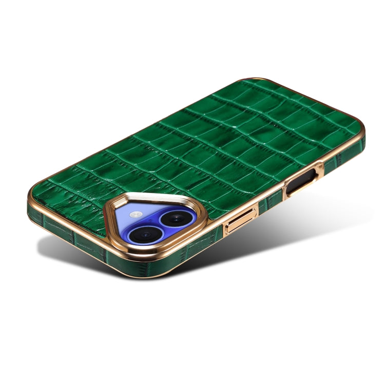 For iPhone 16 Plus Denior Crocodile Texture Genuine Leather Electroplating Phone Case(Green)