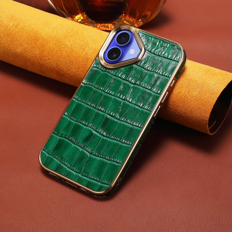 For iPhone 16 Denior Crocodile Texture Genuine Leather Electroplating Phone Case(Green)