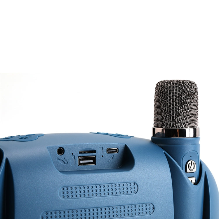 T&G TG542 LED Flash Wireless Bluetooth Karaoke Speaker with Microphone(Light Blue)