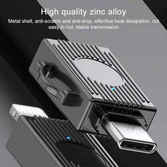 USB to 8 Pin Multifunction Travel Case Shape Apapter(Tarnish)