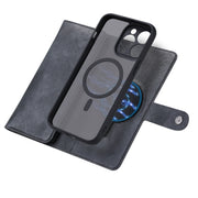 For iPhone 14 Pro ViLi GV Series MagSafe Magnetic Zipper Leather Phone Case(Black)