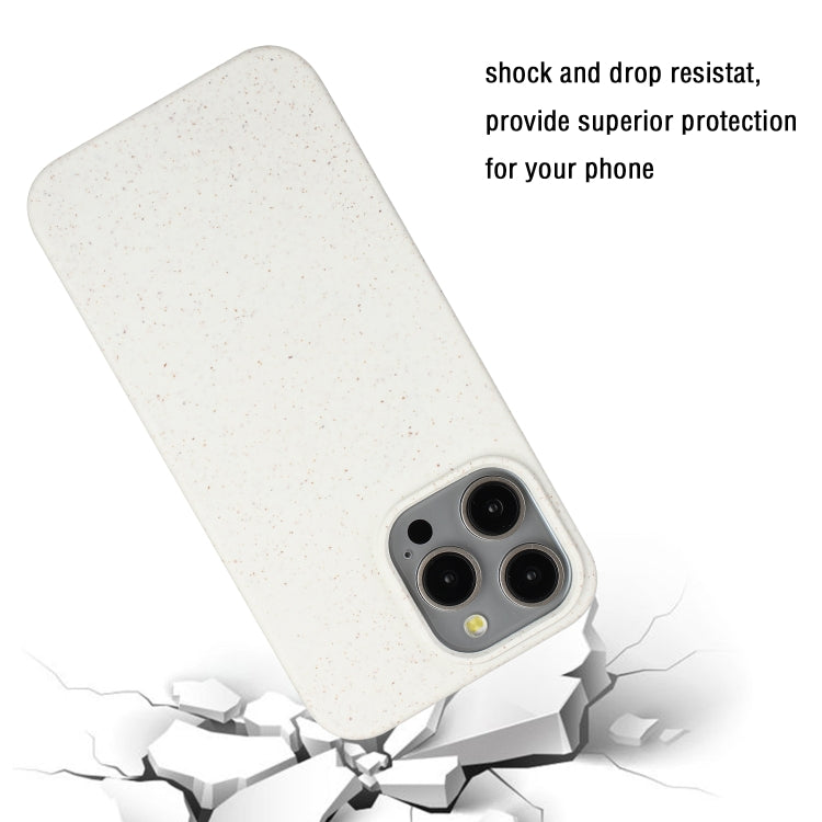 For iPhone 13 Pro Wheat MagSafe Magnetic Straw Material + TPU Phone Case(White)