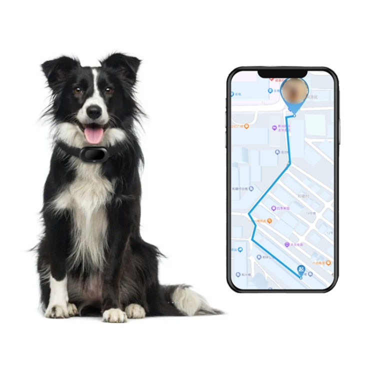V41 Smart GPS Tracker IP67 Water-resistant Pet Anti-loss Positioner, Version:2G Version(Black)