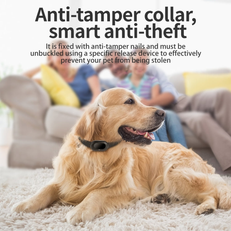 V41 Smart GPS Tracker IP67 Water-resistant Pet Anti-loss Positioner, Version:2G Version(Black)