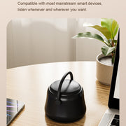 EWA A20 Mini Bluetooth Bass Radiator Metal Speaker(Black)