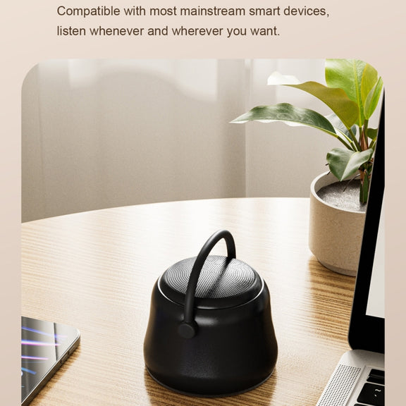 EWA A20 Mini Bluetooth Bass Radiator Metal Speaker(Black)