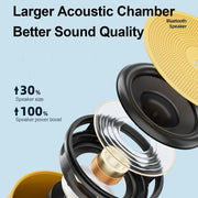 EWA A129 Mini Bluetooth 5.0 Bass Radiator Metal Speaker(Black)
