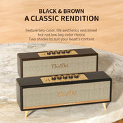 Oneder D8 Wireless Retro Dual Microphone Bluetooth Speaker(Black)