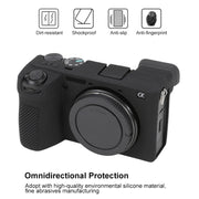 For Sony ILCE-6700 / A6700 Litchi Texture Soft Silicone Protective Case(Black)