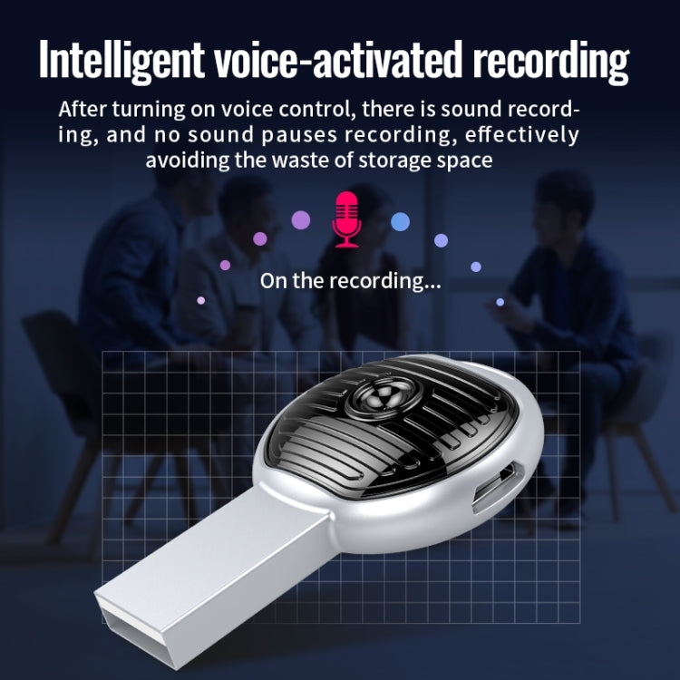 JNN S13 Zinc Alloy U-disk Voice Recorder, Memory:4GB(Silver)