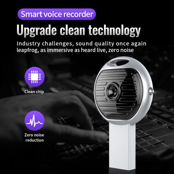 JNN S13 Zinc Alloy U-disk Voice Recorder, Memory:8GB(Silver)