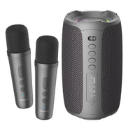 Zealot S61M RGB Rhythmic Light Karaoke Wireless Speaker, Style:Dual Mic(Black)