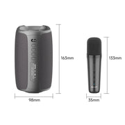 Zealot S61M RGB Rhythmic Light Karaoke Wireless Speaker, Style:Dual Mic(Black)