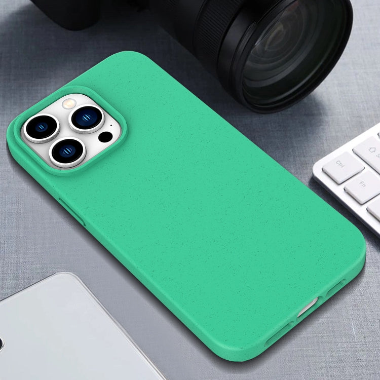 For iPhone 16e Wheat Straw TPU Phone Case(White)