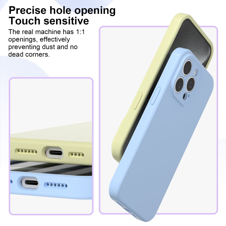 For iPhone 16 Pro Precise Hole Liquid Silicone Jelly Color Full Coverage Phone Case(White)