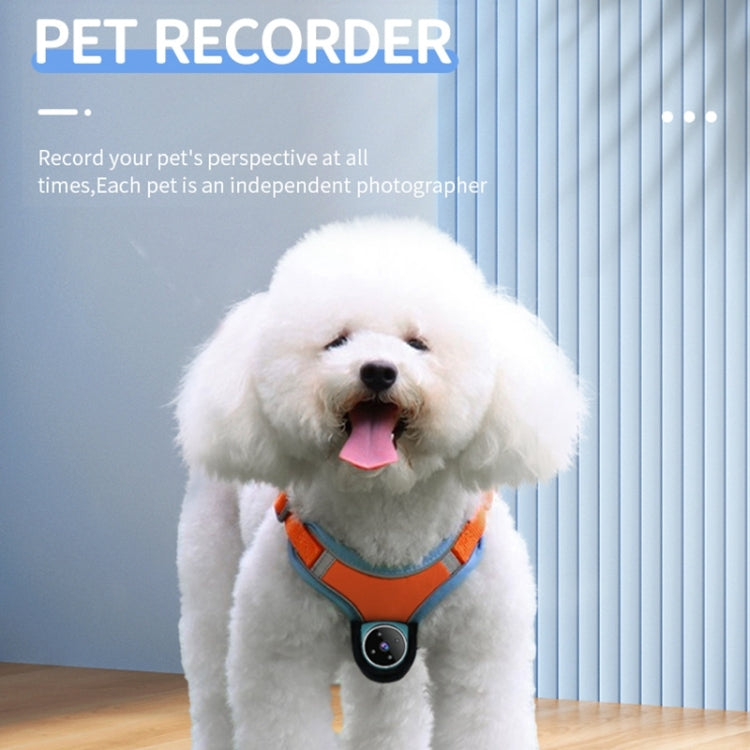 A9 Pet Recorder Tracking Playback IPX6 Water-resistant(White)