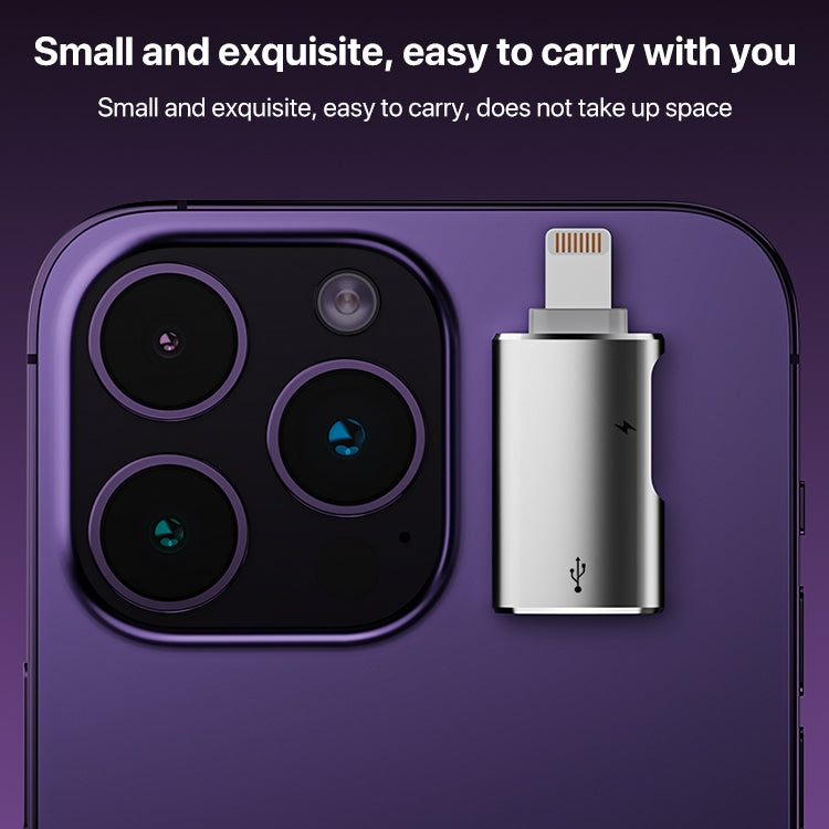 8 Pin to USB, USB-C / Type-C OTG Adapter(Silver)
