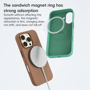 For iPhone 16 Plus ZGA Colorful Liquid Silicone Magsafe Phone Case(Blue)