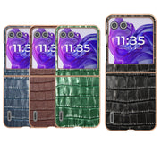 For Motorola Razr 50 ABEEL Electroplating Frame Crocodile Texture Genuine Leather Phone Case(Brown)