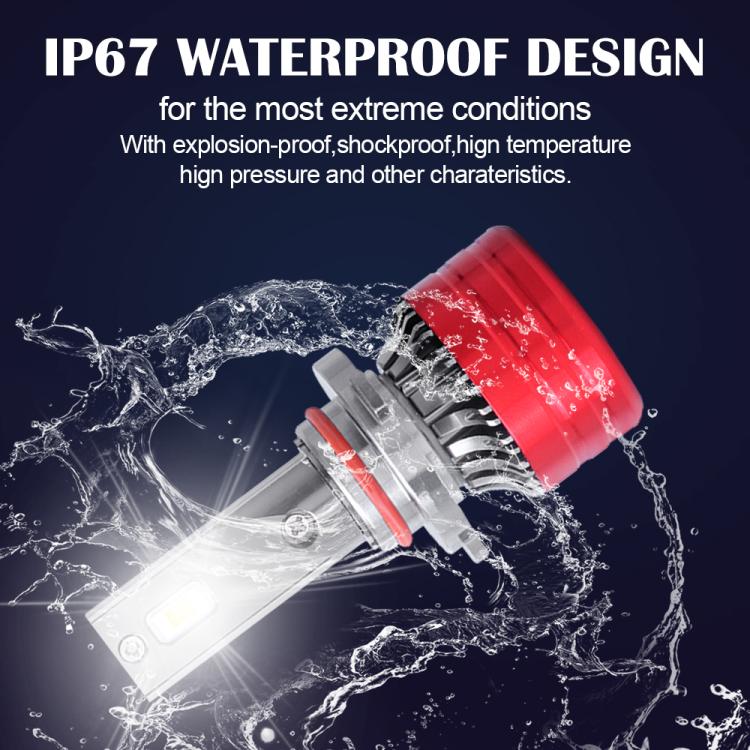 EDA007987302_3.jpg@40425f2b387e3a9186cf8adb122b223a