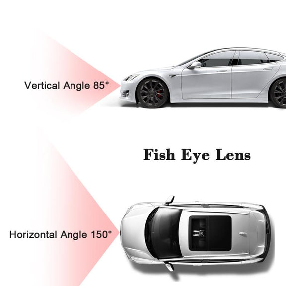 EDA008334901_5.jpg@78268a30f27f876682c56f356a66273b