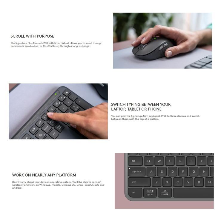 EDA0084573_B3.jpg@249237a70ab49481c80d0760689ac703