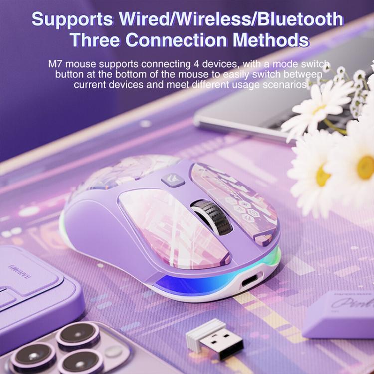 EDA0089731_B8.jpg@119e4425b4f05258bec1b8a43355100f