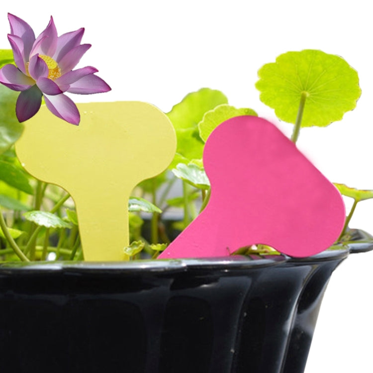 100PCS Floral Label Gardening Label Water-resistant small card Insert Label Potted Label,Random Color Delivery