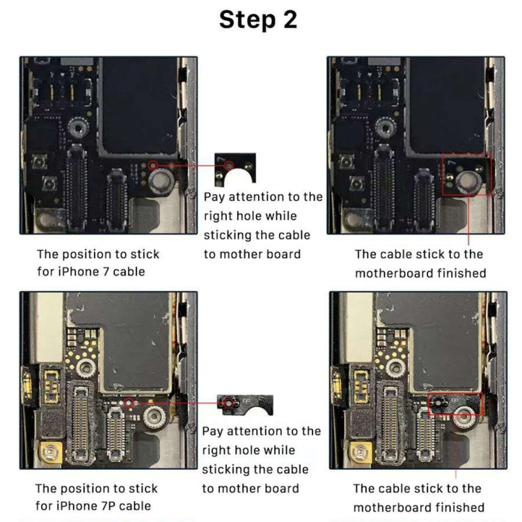 Home Button (3rd ) with Flex Cable (Not Supporting Fingerprint Identification) for iPhone 8 Plus / 7 Plus / 8 / 7(Pink)