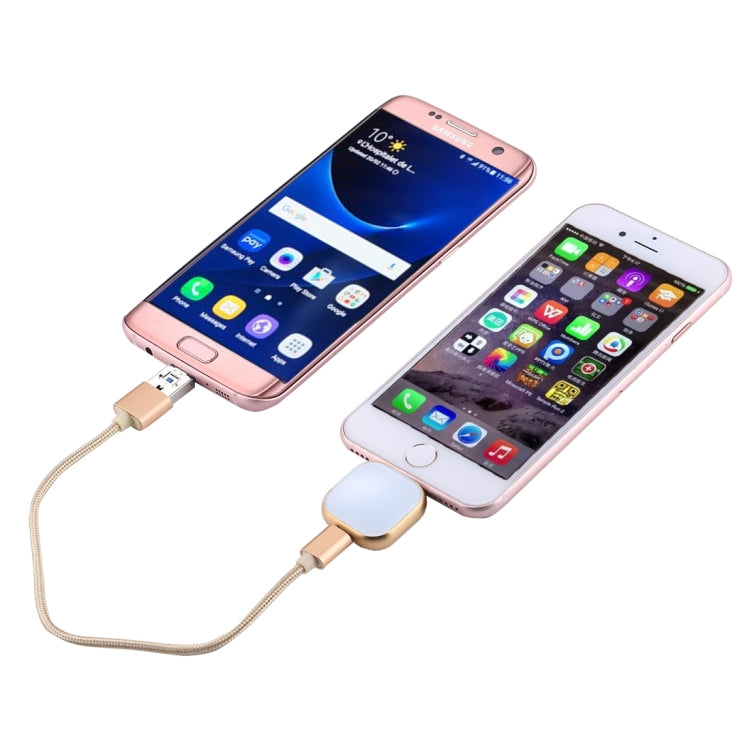 RQW-18S 8 Pin 128GB Multi-functional Flash Disk Drive with USB / Micro USB to Micro USB Cable(Gold)