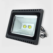 100W LED Engineering Projection Light IP65 Water-resistant Turtle Shell Lamp Outdoor Spotlight, White Light