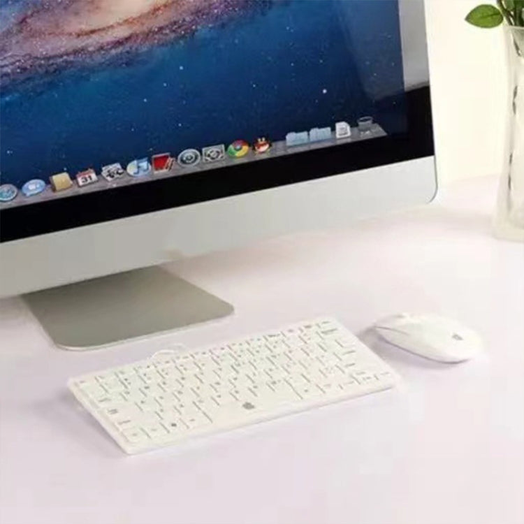 For Apple iMac 24 inch Color Screen Non-Working Fake Dummy Display Model(Silver)